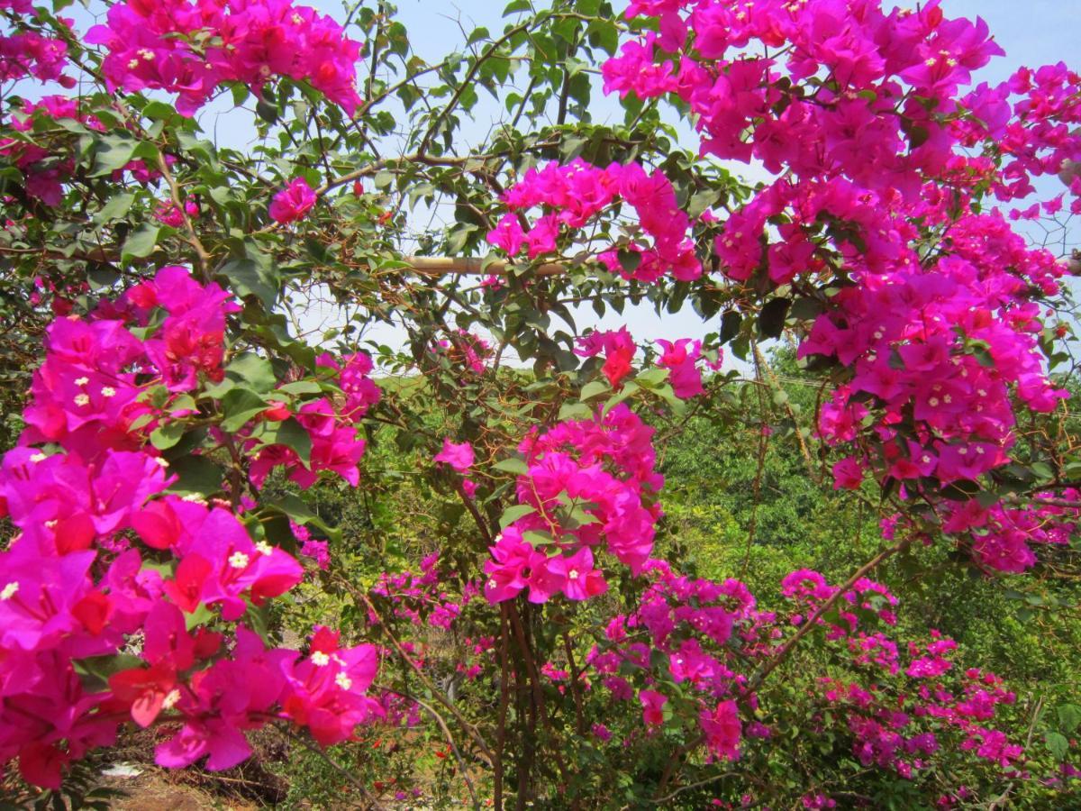 Namaste Yoga Farm Villa Gokarna  Eksteriør bilde