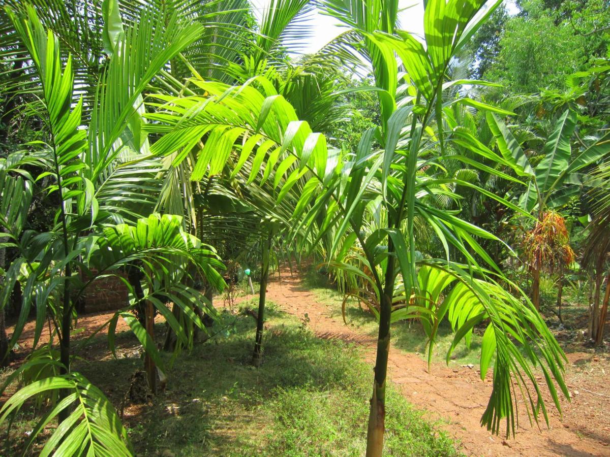 Namaste Yoga Farm Villa Gokarna  Eksteriør bilde