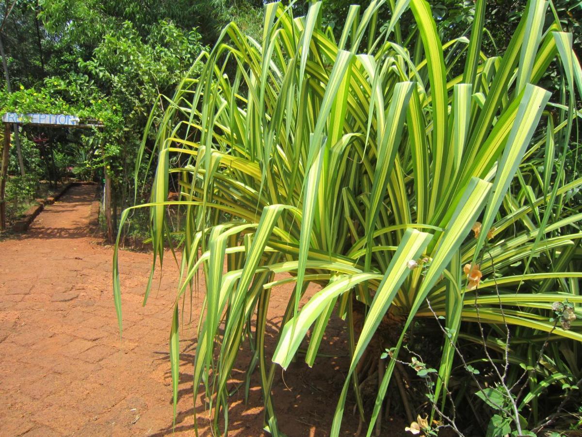 Namaste Yoga Farm Villa Gokarna  Eksteriør bilde