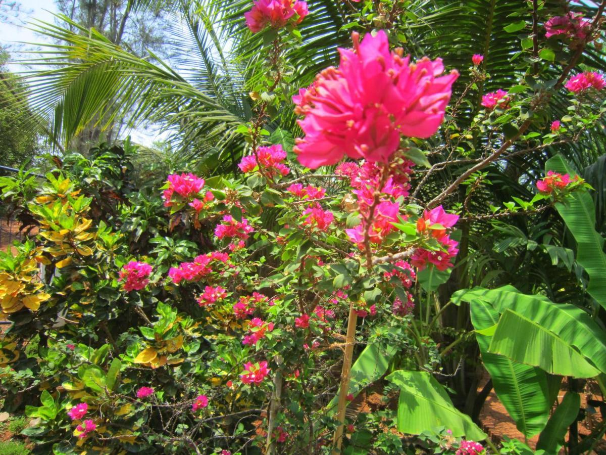 Namaste Yoga Farm Villa Gokarna  Eksteriør bilde