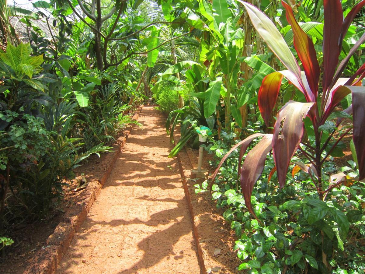 Namaste Yoga Farm Villa Gokarna  Eksteriør bilde