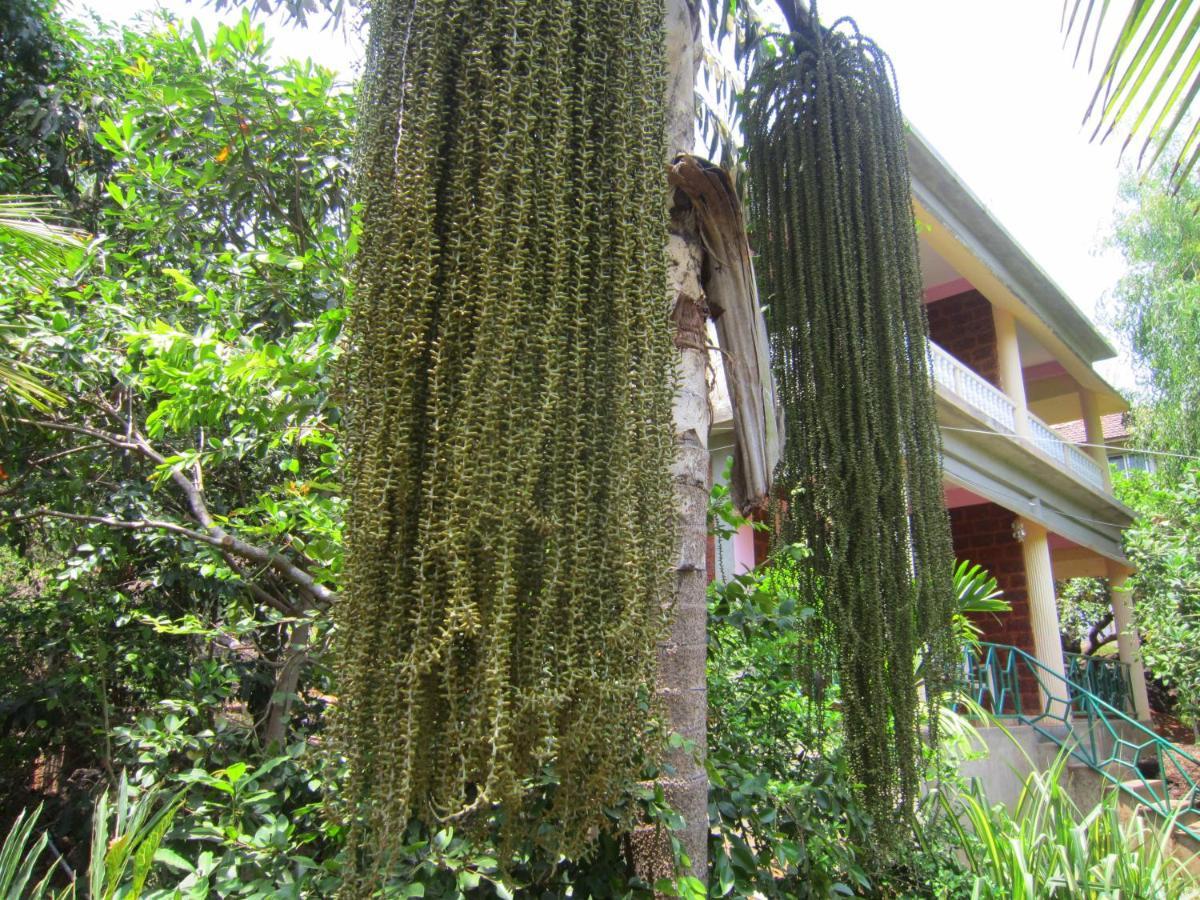 Namaste Yoga Farm Villa Gokarna  Eksteriør bilde