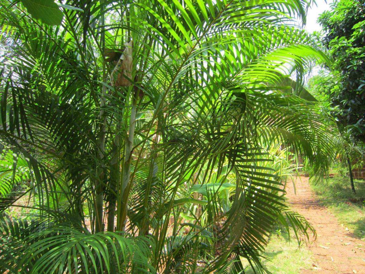 Namaste Yoga Farm Villa Gokarna  Eksteriør bilde