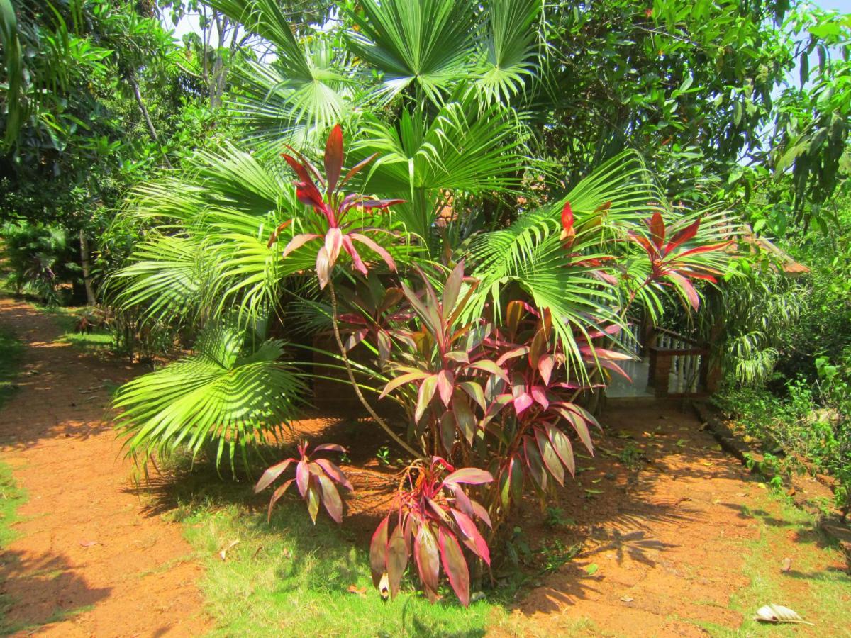 Namaste Yoga Farm Villa Gokarna  Eksteriør bilde